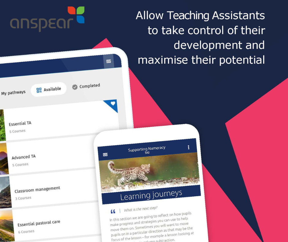 Software for Teaching Assistants