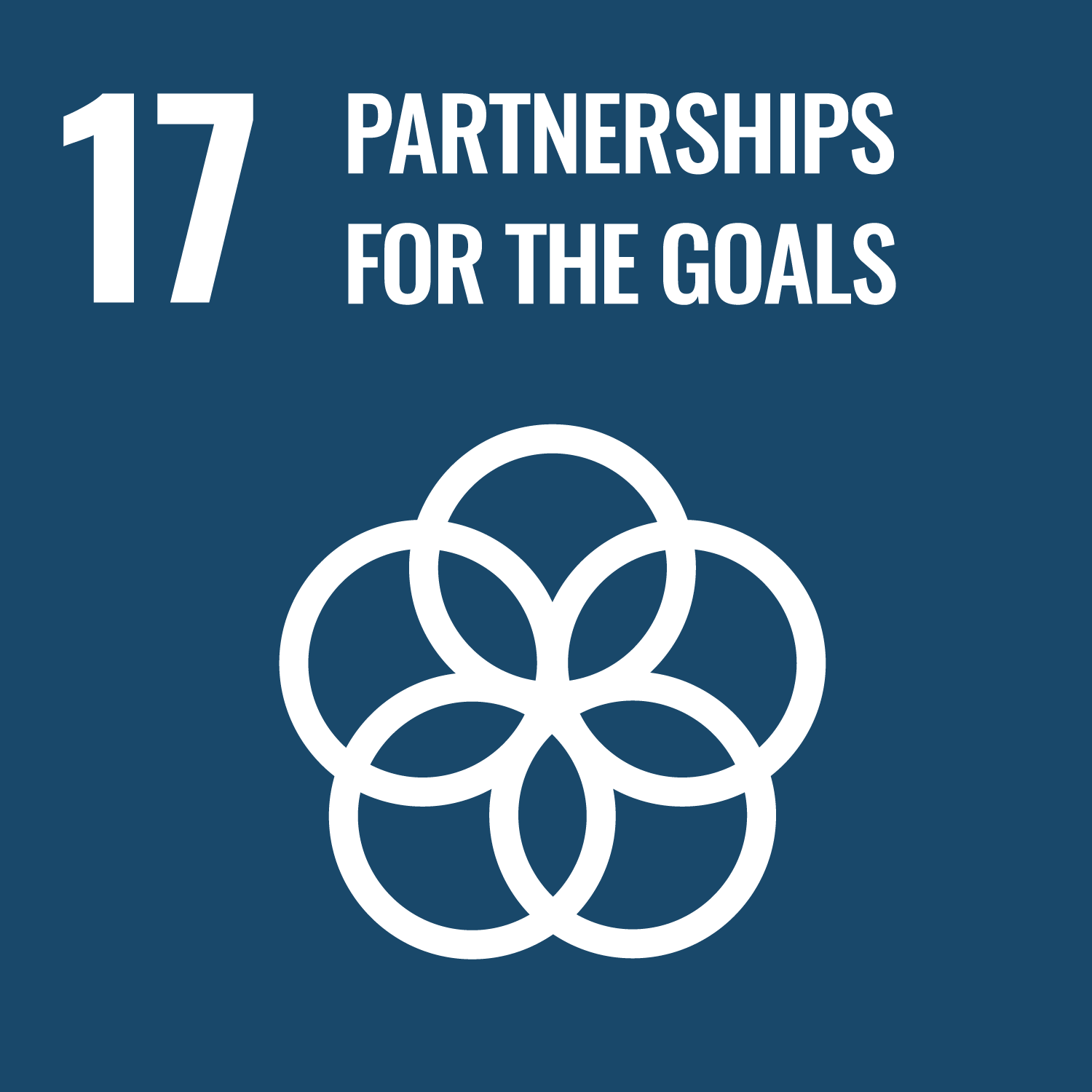 Sustainable development goal 4: partnership for the goals