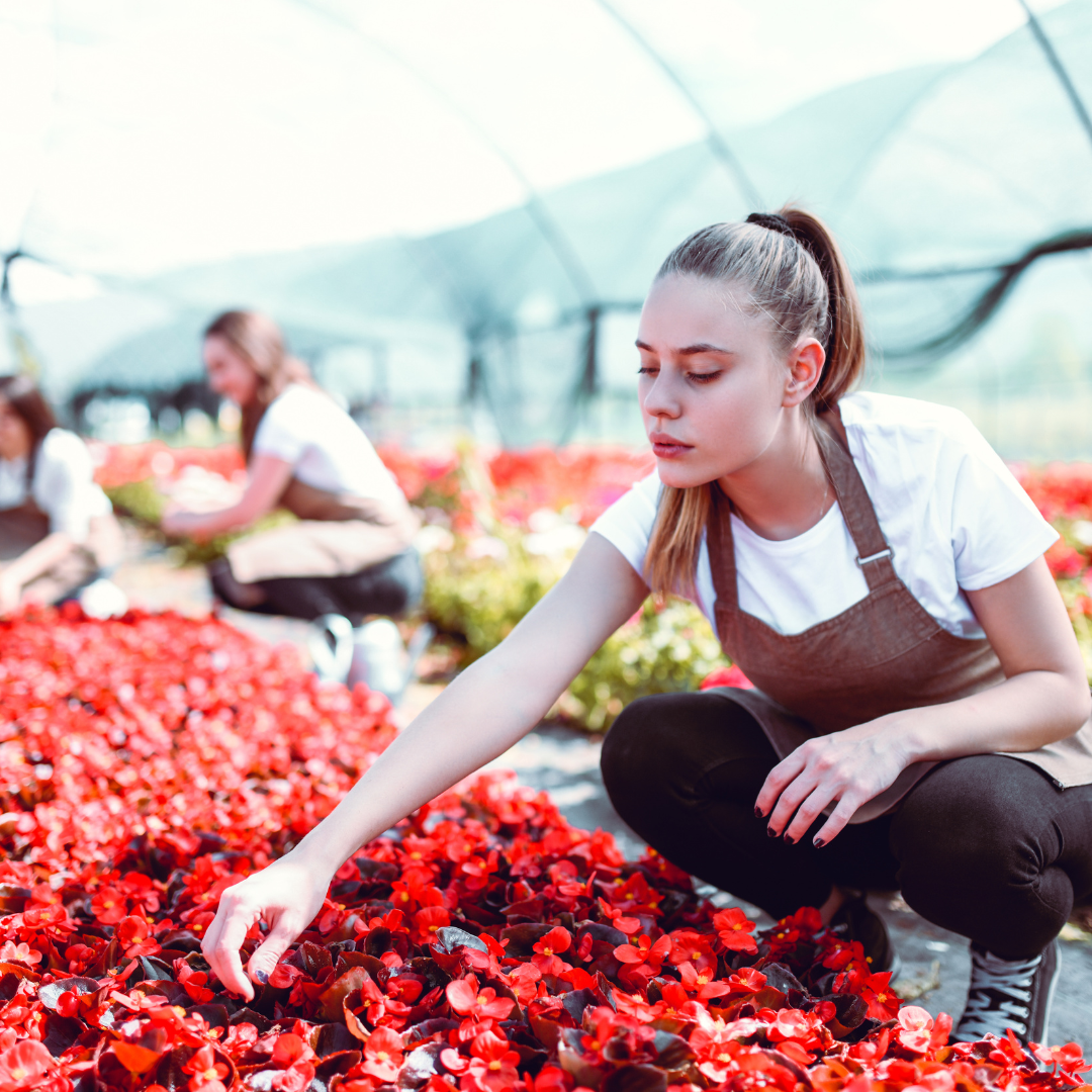 Why Work Experience Matters and How We Are Opening Doors Through Industry Partnerships